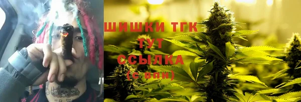 мдпв Верхний Тагил