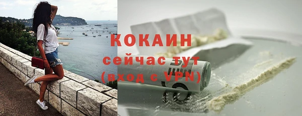 бошки Мегион