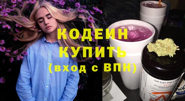 мдпв Верхний Тагил