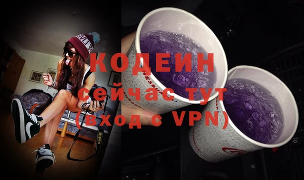 мдпв Верхний Тагил