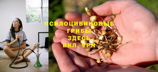 дживик Гусь-Хрустальный
