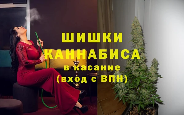 индика Струнино