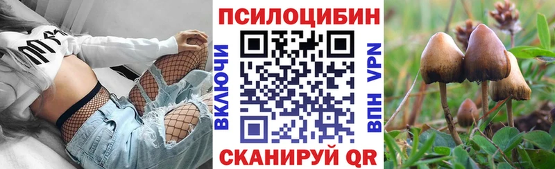 Галлюциногенные грибы ЛСД  Западная Двина 